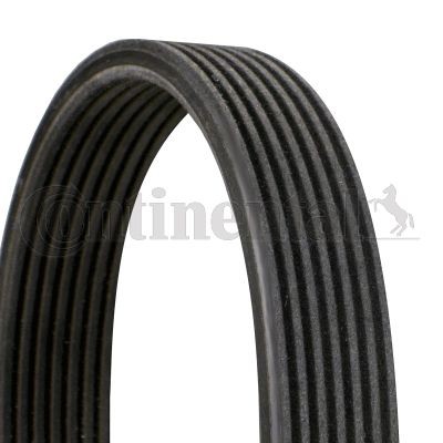 Keilrippenriemen Continental Ctam 7DPK1884 FÜR BMW Poly V Riemen Rippenriemen-image