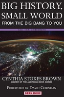 Cynthia Stokes Brown | Big History, Small World | Taschenbuch | Englisch (2016)