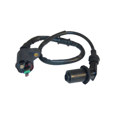 Okyami Hochspannungsspule Motoren Leader Für Benelli 125 Adiva 2002-2003