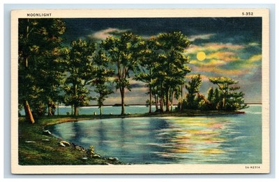 Postcard Lake Trees Full Moon Moonlight Scene CT Art Colortone c1935 Linen UNP