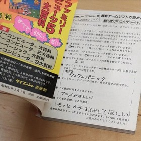 Star Luster Famicom FC box, instruction manual , strategy guide included.Testd