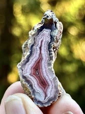 High-Grade Parallax Banded Laguna Agate | Red & White | Mexico | Polish