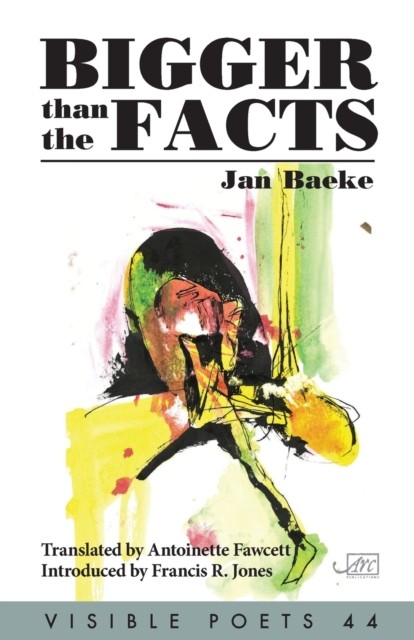 Bigger Than the Facts by Jan Baeke PAPERBACK 9781911469575