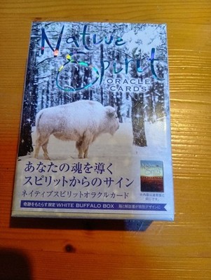 Native Spirit Oracle Cards White Buffalo Box #QYGYMK