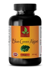 antioxidant organic supplement ORGANIC BLUE GREEN ALGAE - brain supporter 1 BOTT