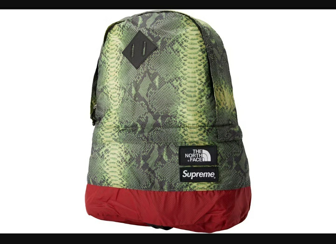 Clothing Supreme The North Face Snakeskin Lightweight Day Pack