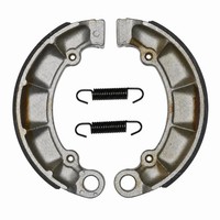 TRW Bremsbacken Bremsbelag (FüR: Honda VT 750 Black Widow RC48 01-03 Hinten )