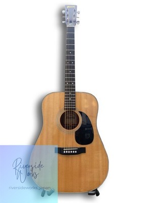 Morris W-15 Acoustic Guitar