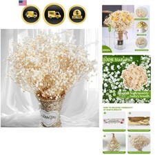 Dried Baby's Breath Flowers Bulk Vase Fillers Wedding Decor DIY Crafts