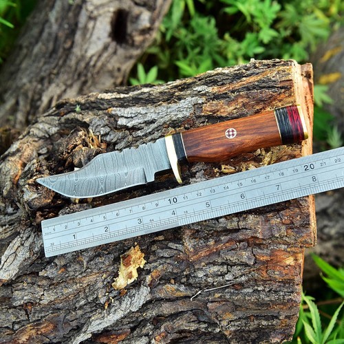 8"EDC  HANDMADE DAMASCUS KNIFE HUNTING SKINNING KNIFE WOOD HANDLE BRASS GUARD - Picture 4 of 6