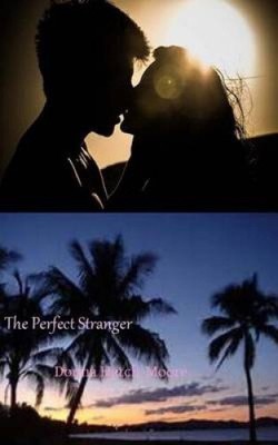 The Perfect Stranger by Donna Hatch-Moore