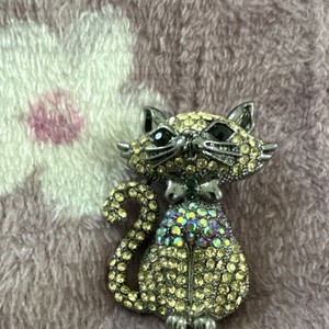 Cat Rhinestone Brooch Pin Silver Tone Mixed Materials Collectible Animal Jewelry