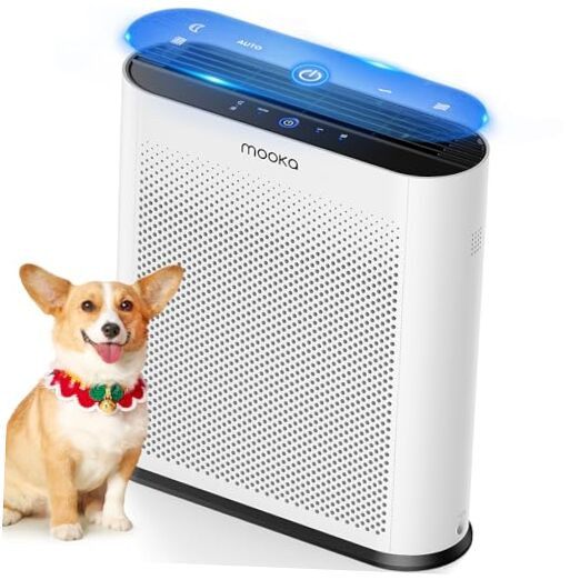 Air Purifiers for Home Large Room 1650ft² with PM2.5 Air Quality Sensor,  H13