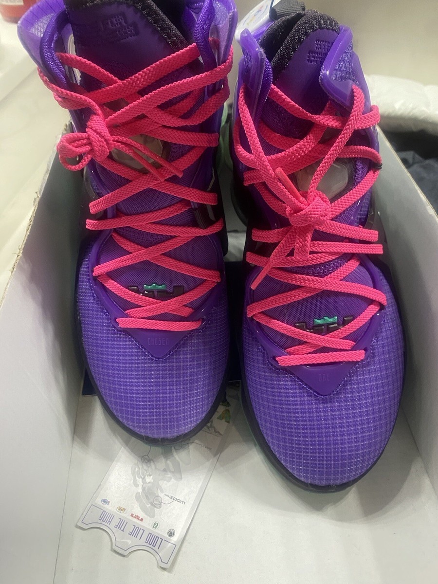 Size 7.5 - Nike air LeBron 19 Cave Purple/Clear Emerald/Hyper Pink