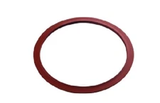 DCI 10" OCR Door Seal for Pelton & Crane, single gasket.#2101