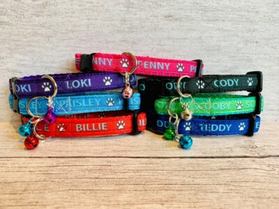 chipped dog collars