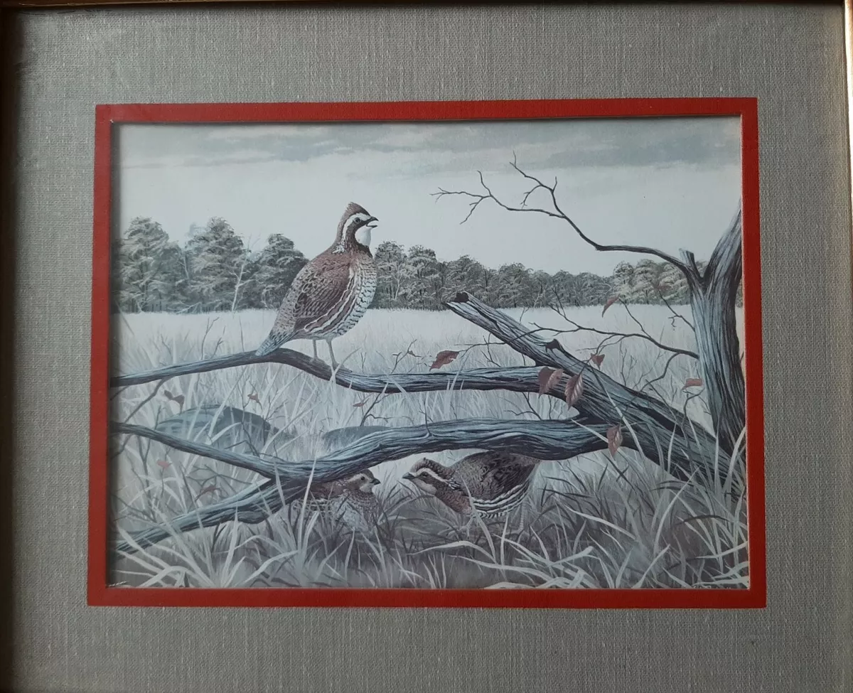 16+ A J Rudisill Paintings