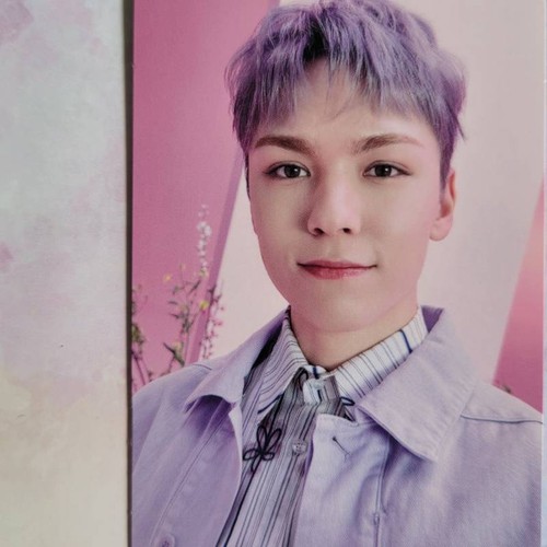 SEVENTEEN ALWAYS YOURS JAPAN BEST ALBUM Photo Card Type G Limited ED. PC - Picture 29 of 33