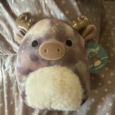 Greggor the Moose 8  Squishmallow 2022 NWT