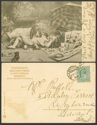 Deutsch Kurzhaar Zeiger Hund Welpe und Kind 1904 alte UB Postkarte Haustier Tier