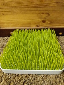 boon grass drying rack green