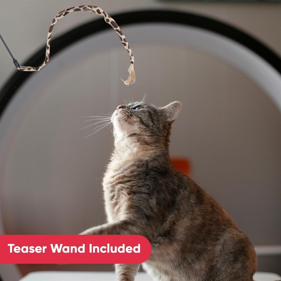 Pet Toys Cat Kitten 21 Pcs Interactive Indoor Toys Bulk Ball Toy Bells