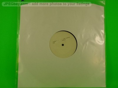 PUZZLE I LOVE FUNKIN (491/32) (491) 2 Track Promo 12'' Single including Company S
