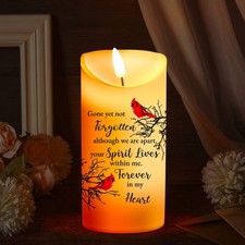 Gerrii Memorial Candles Sympathy Gifts LED Flameless 3 x 6 Inch, Bird Style