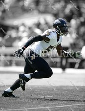 DO584 C.J. Mosley Baltimore Ravens 8x10 11x14 16x20 Spotlight Photo