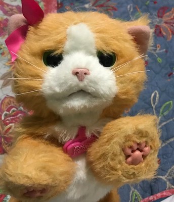 furreal friends orange cat