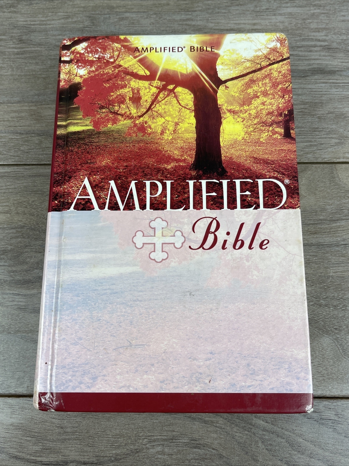 Amplified Bible Zondervan & Lockman 1987 Hardcover eBay