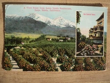 LOMA LINDA CA California view from the Sanitarium 1916  Postcard