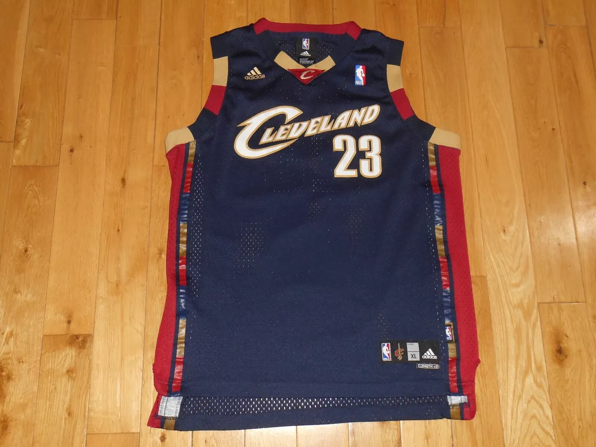 Cleveland Cavaliers LeBron James Navy Blue Swingman Jersey