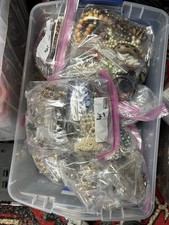 Vintage Costume Jewelry Lot Signed And Unsigned 40+Pounds Over 500 Pieces