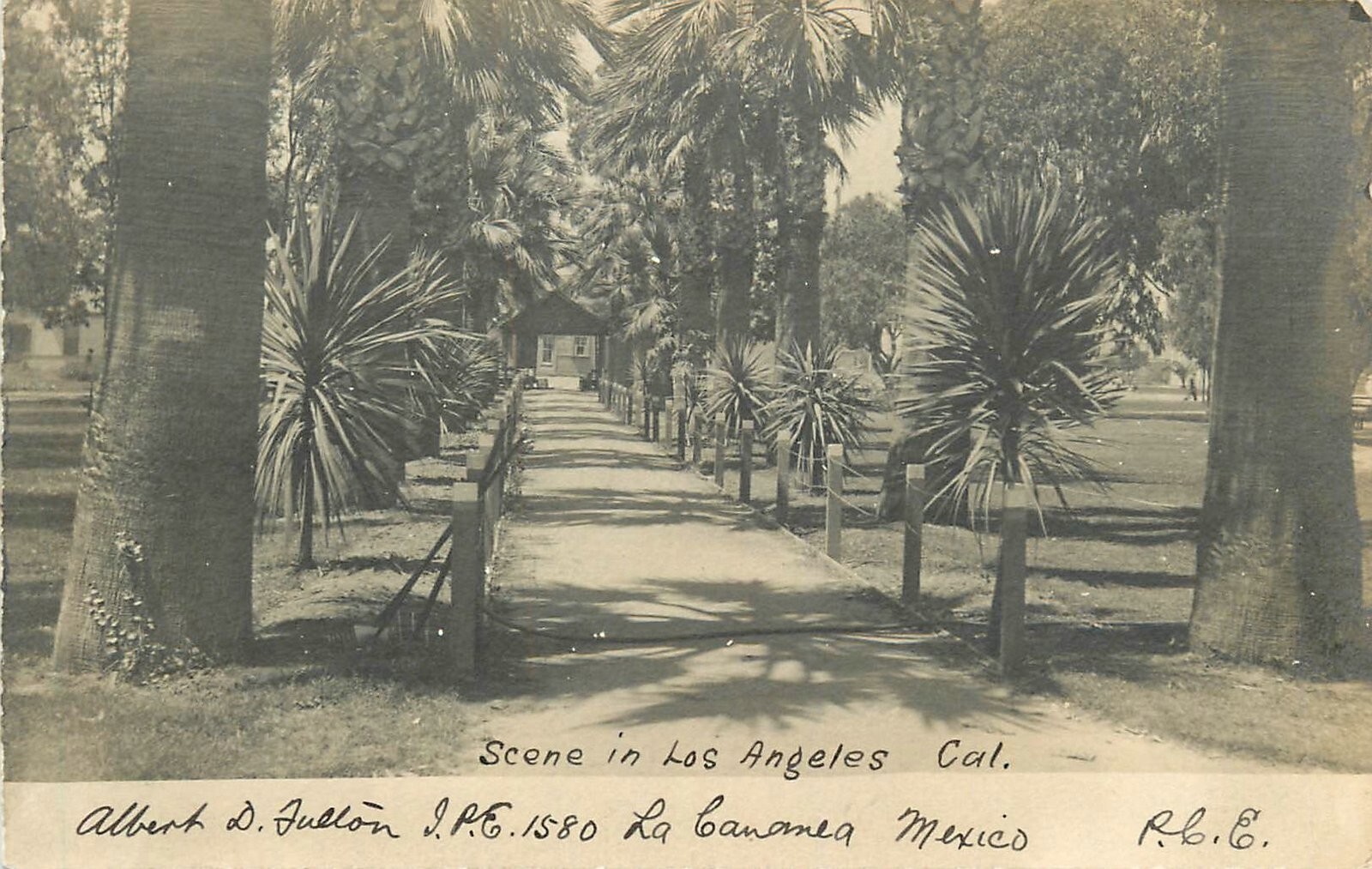 Postcard RPPC C-1905 California Los Angeles Scene CA24-1574