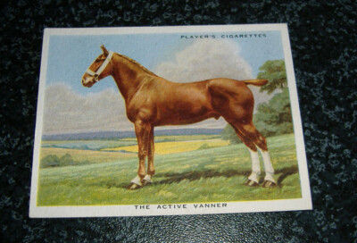 John Player (LARGE) - Arten von Pferden Nr. 12 - The Active Vanner