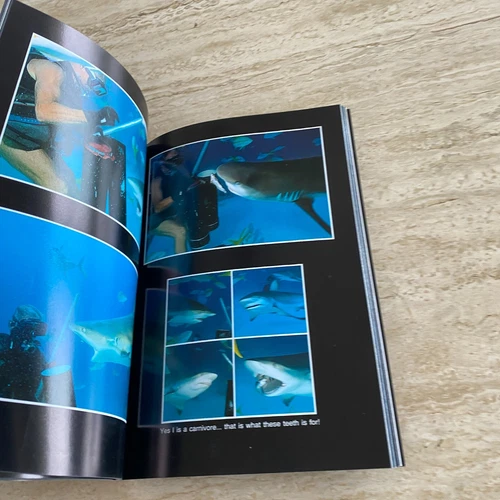 Marine Photography: Underwater Bahamas - Bob Friel - Diving / Coral Reef 1993 - Picture 17 of 20