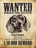 Holzschild 40X30 Cm Hund Wanted Dead Dackel Alias Deko Geschenk Holz Schild