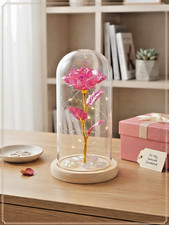 Galaxy Rose Light Up in Glass Dome Eternal Flower Gifts for Mom Grandma