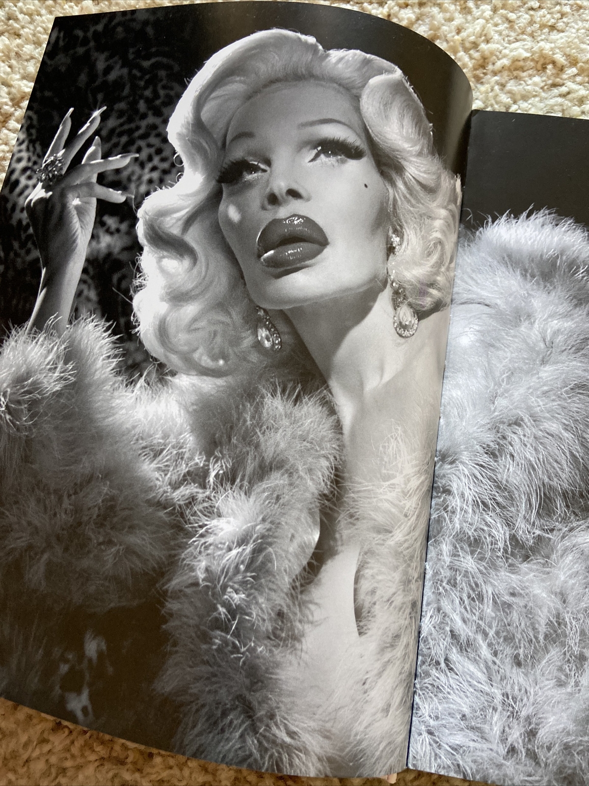 Doll Parts by Thomas Flannery and Amanda Lepore (2017, Hardcover) for