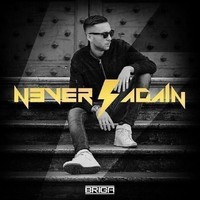 Audio Cd - Briga - Never Again (Platinum Edition) (2 Cd) - Honiro -D- Neu