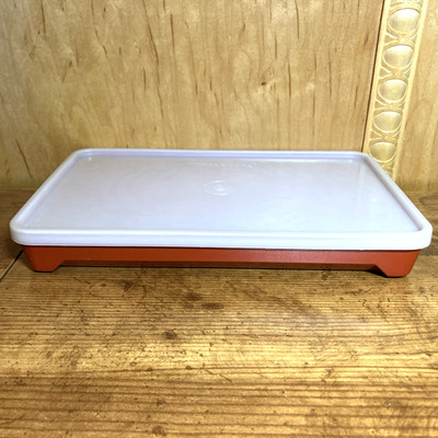 Tupperware Hot Dog Keeper Deli Meat Bacon Grid 1292-5 Lid 1293-5  Paprika VTG.