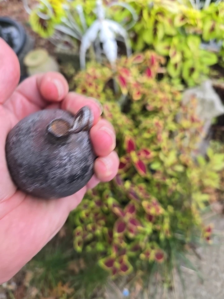 Angeln Downrigger 2lbs Trolling hausgemachtes Blei - Bild 4 von 4