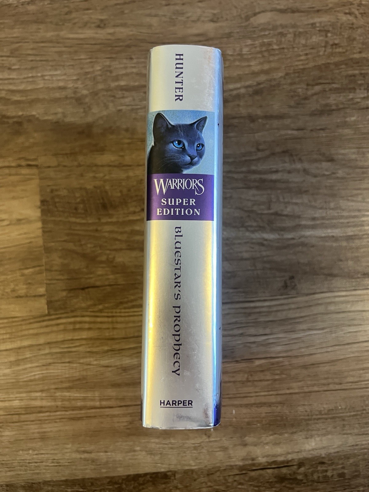 Warriors Super Edition: Bluestar's Prophecy - Hardcover - VERY GOOD