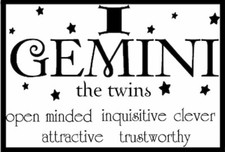 Gemini The Twins Clever Attractive Constellation Zodiac Sign Astronomy  MAGNET