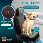 Bild 12 von 13