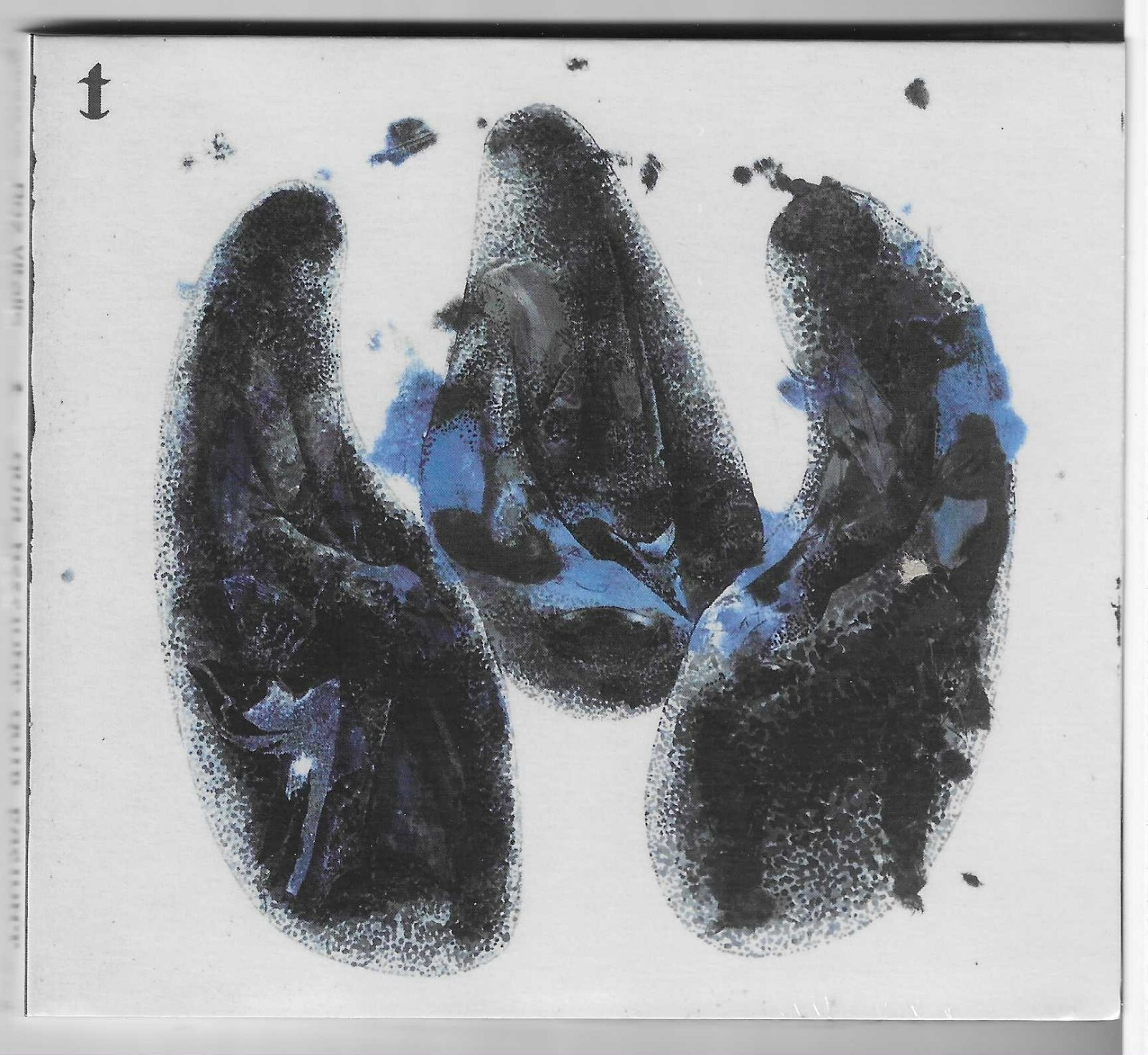 Roz Vitalis - Quia Nesciunt Quid Faciunt (Lizard Records CD 0190)
