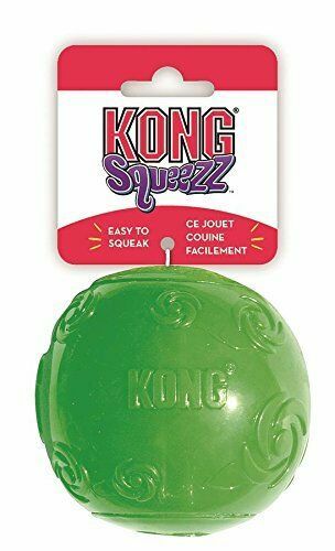 kong biscuit ball large