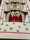 Rare Vintage Looney Tunes Tazmanian Devil Towel 3 Stages of Anger Warner Bros — photo 2
