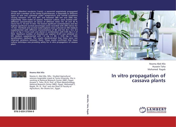 In Vitro Propagation Of Cassava Plants Neama Abd Alla-image